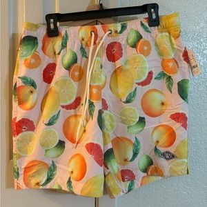 Pacsun Mens Swim Trunks